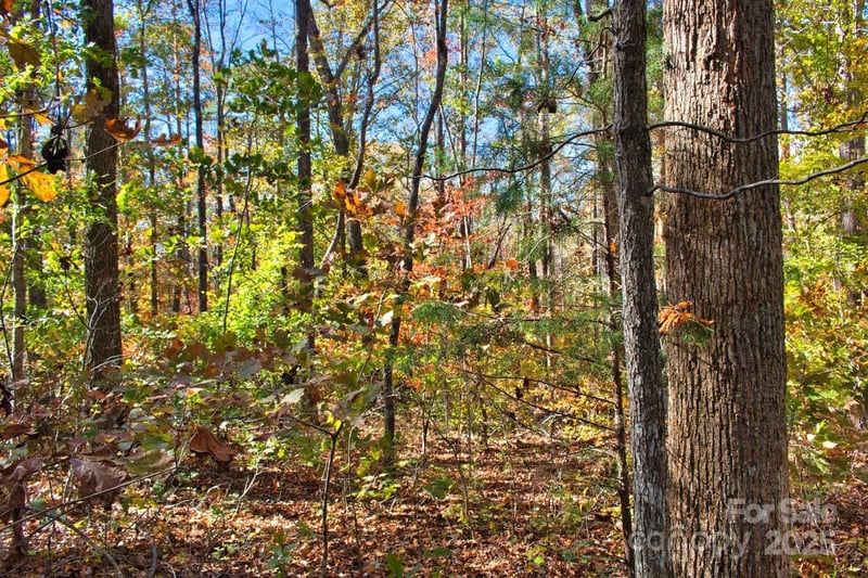 Bitteroot Cir #294, Rutherfordton, NC 28139