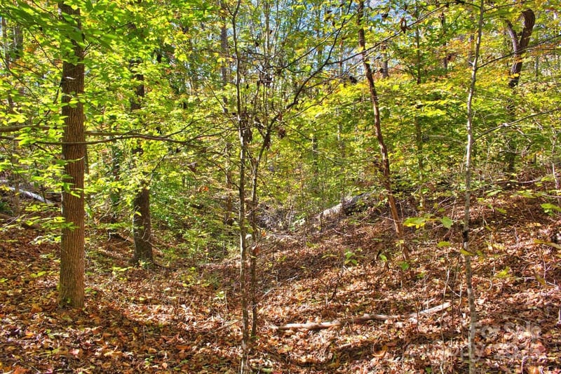 Bitteroot Cir #294, Rutherfordton, NC 28139