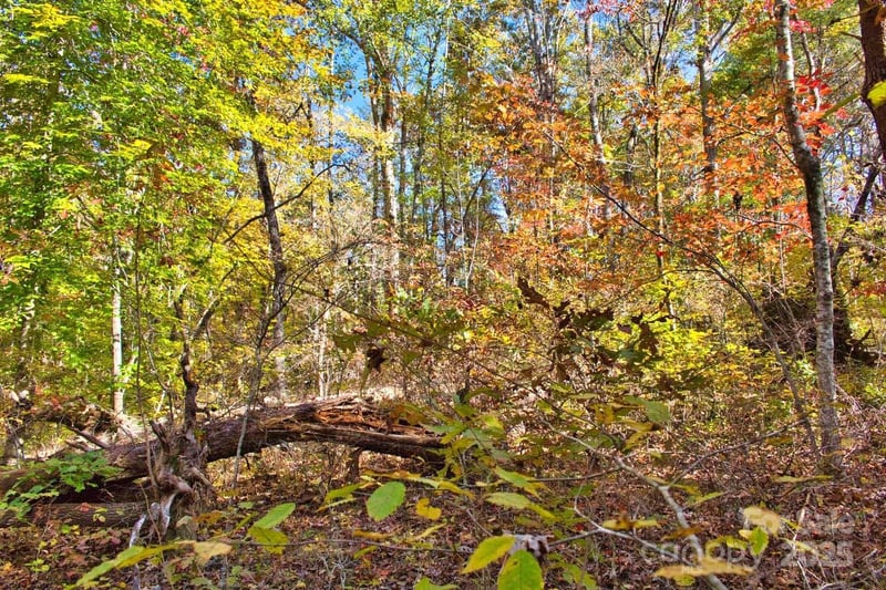Bitteroot Cir #294, Rutherfordton, NC 28139