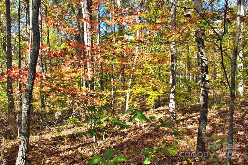 Bitteroot Cir #294, Rutherfordton, NC 28139