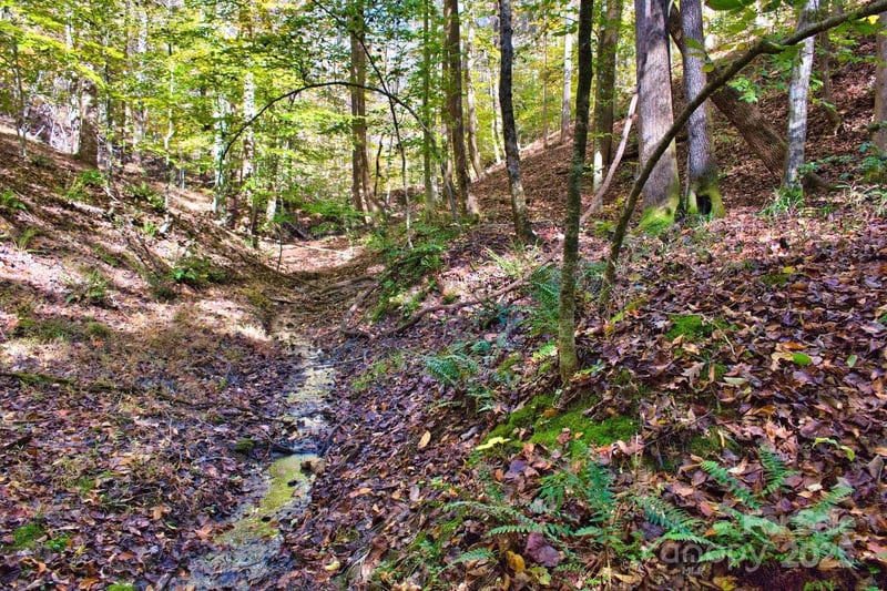 Bitteroot Cir #294, Rutherfordton, NC 28139