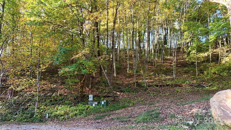 2 Roberts Mountain Rd #2, Clyde, NC 28721