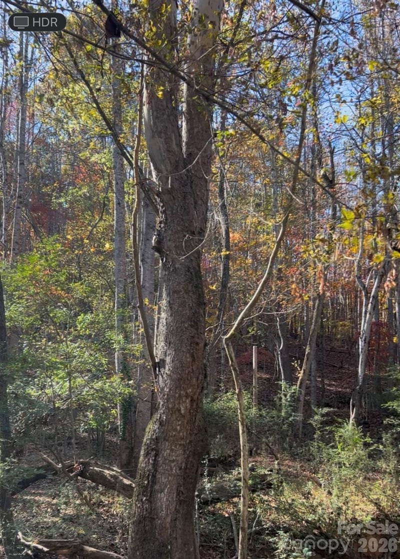 Snuggs Park Rd, Albemarle, NC 28001