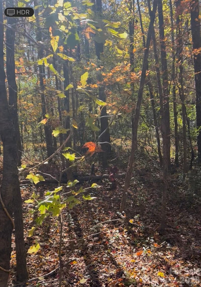 Snuggs Park Rd, Albemarle, NC 28001