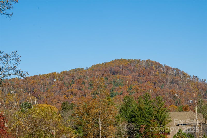 38 Chantilly Dr, Asheville, NC 28804