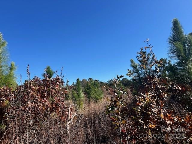 3583 Mill Creek Rd, Kershaw, SC 29009