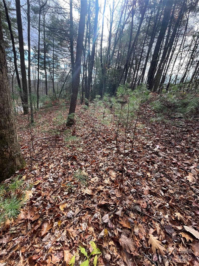 00 Pinnacle Falls Ln, Zirconia, NC 28790