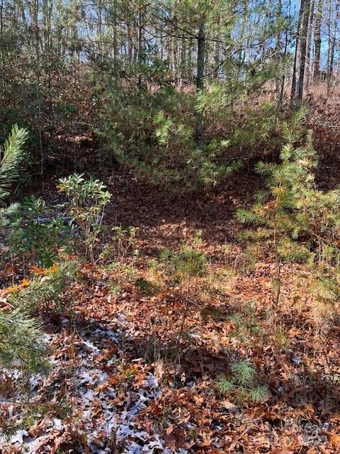 TBD Kitchen Loop Rd, Lake Toxaway, NC 28747