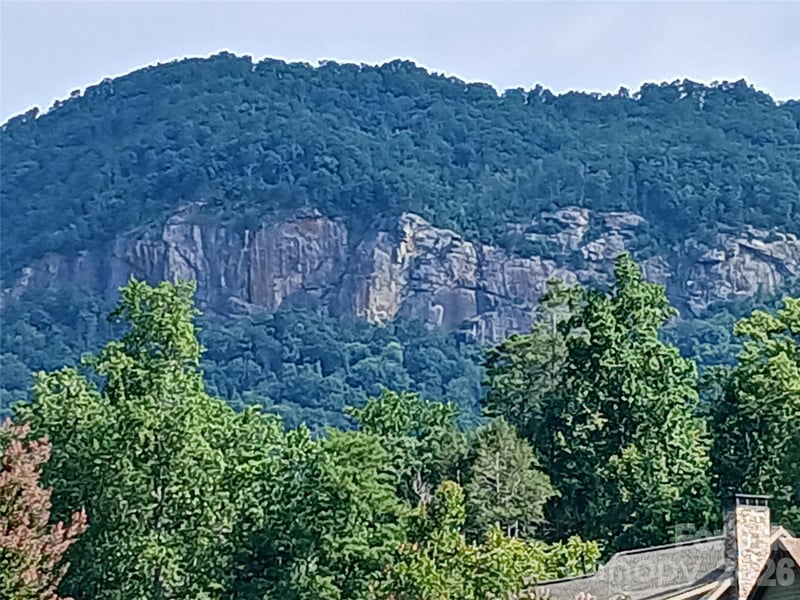 167 Firefly Point, Lake Lure, NC 28746