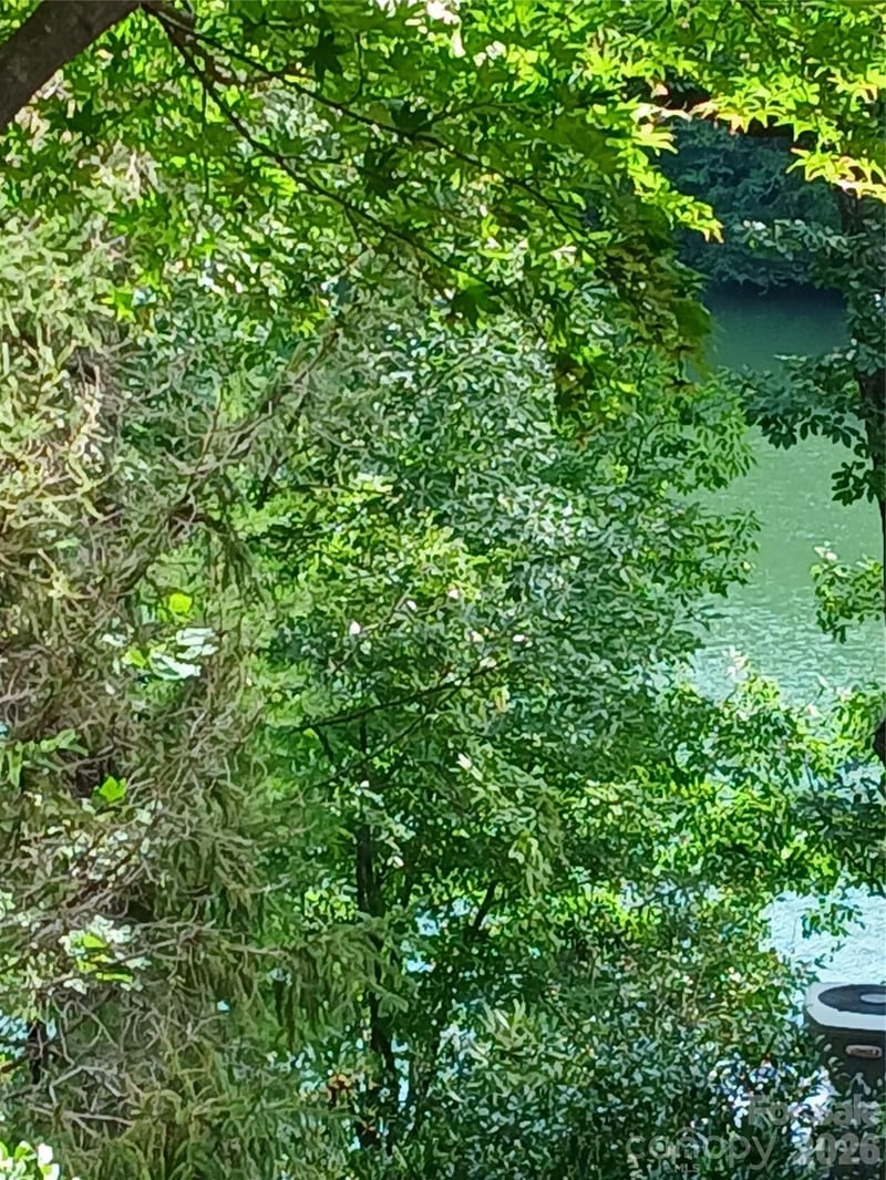 167 Firefly Point, Lake Lure, NC 28746