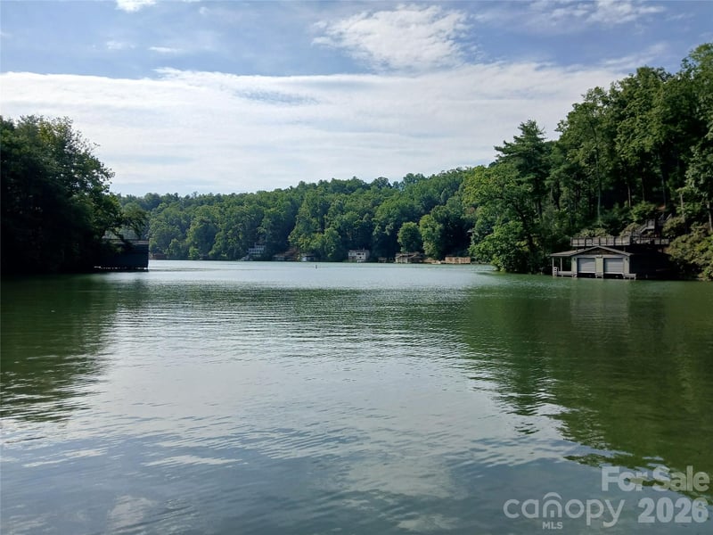 167 Firefly Point, Lake Lure, NC 28746