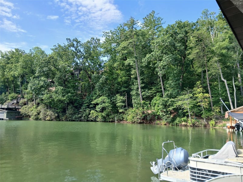 167 Firefly Point, Lake Lure, NC 28746