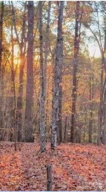 VL Trellis Dr #117, Marion, NC 28761