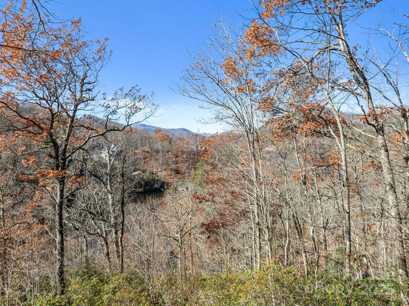 151 Trout Lily Ln, Tuckasegee, NC 28783