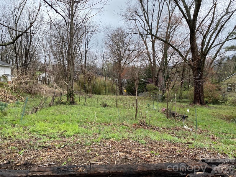 24 Ridge Ave, Asheville, NC 28803