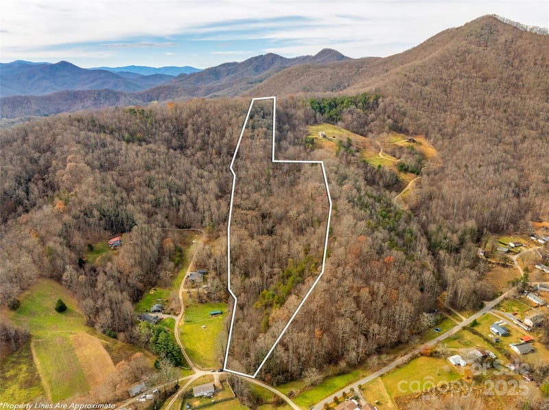 99999 Bay Horse Trl, Candler, NC 28715