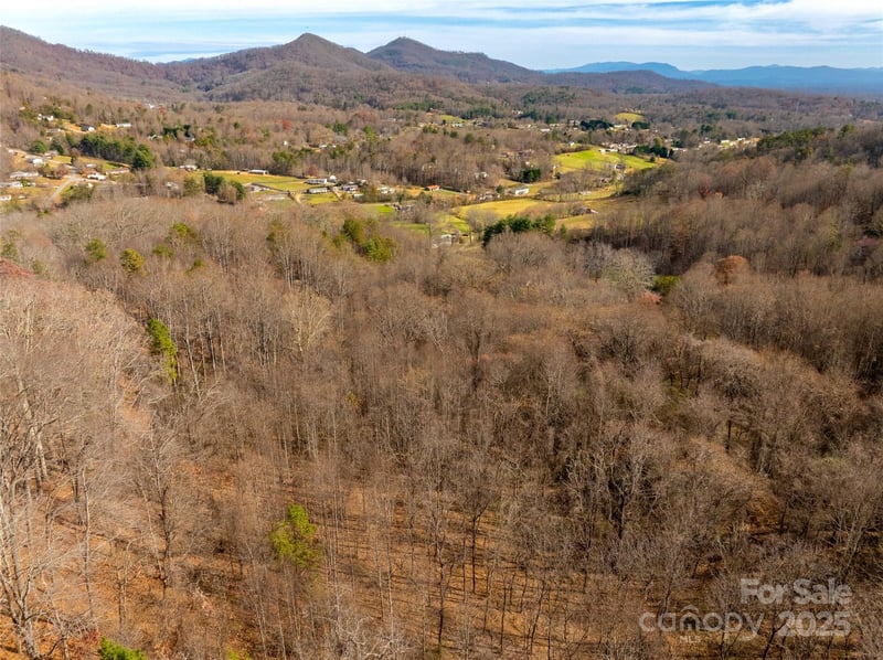 99999 Bay Horse Trl, Candler, NC 28715