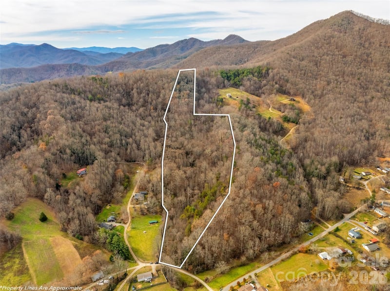 99999 Bay Horse Trl, Candler, NC 28715