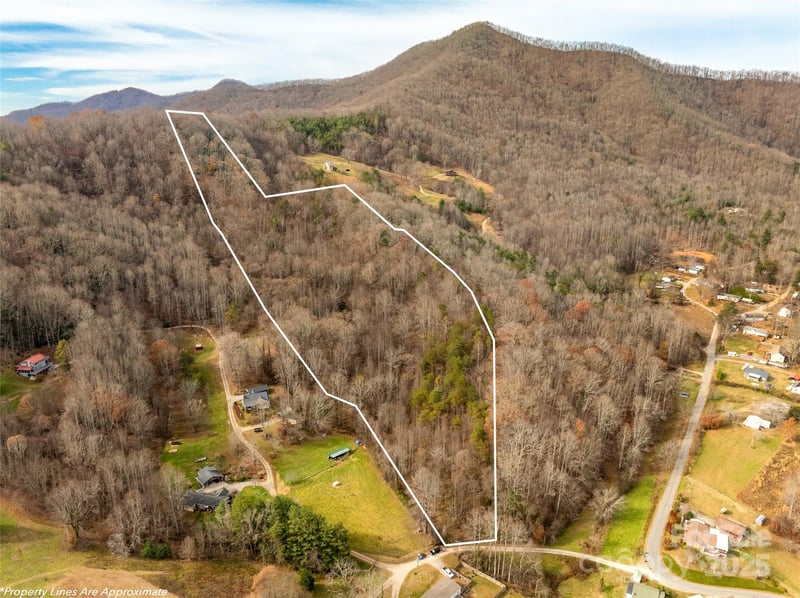 99999 Bay Horse Trl, Candler, NC 28715
