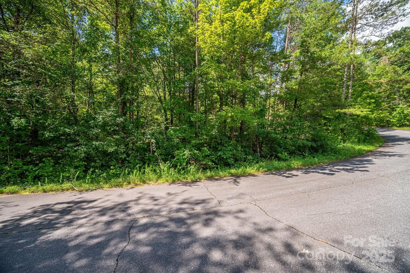 Lot 40 Line Dr, Forest City, NC 28043