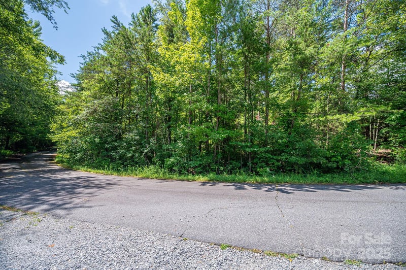 Lot 40 Line Dr, Forest City, NC 28043