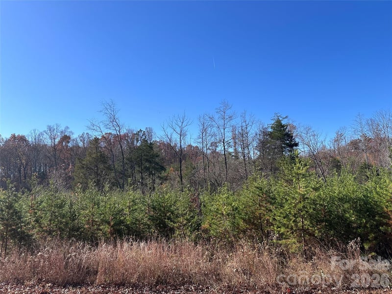5 Stephens Trail Rd, Sandy Ridge, NC 27046