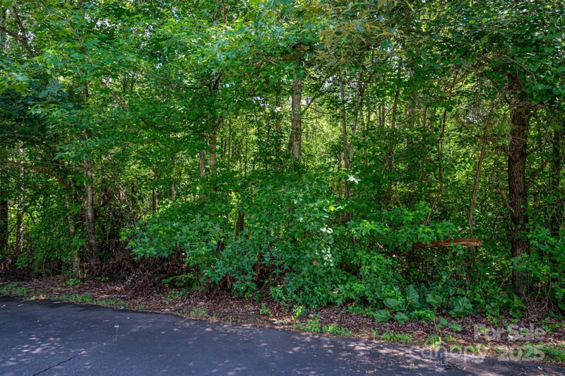 Lot 33 Line Dr, Forest City, NC 28043