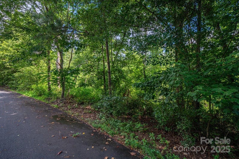 Lot 33 Line Dr, Forest City, NC 28043