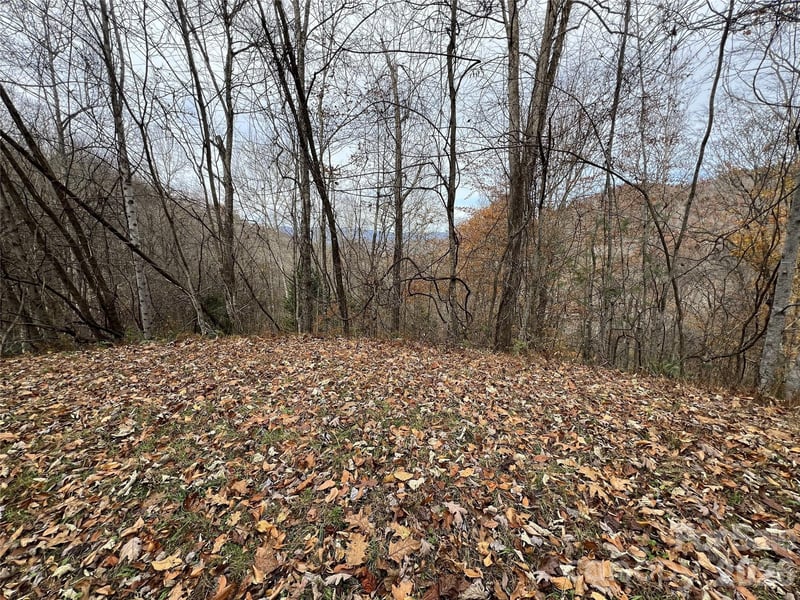 Lot 7 Deer Ridge Rd, Bryson City, NC 28713