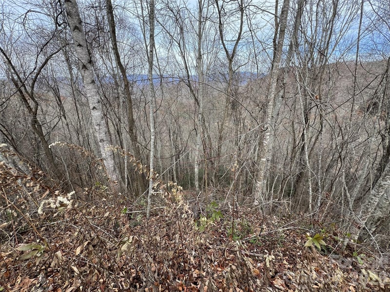 Lot 7 Deer Ridge Rd, Bryson City, NC 28713