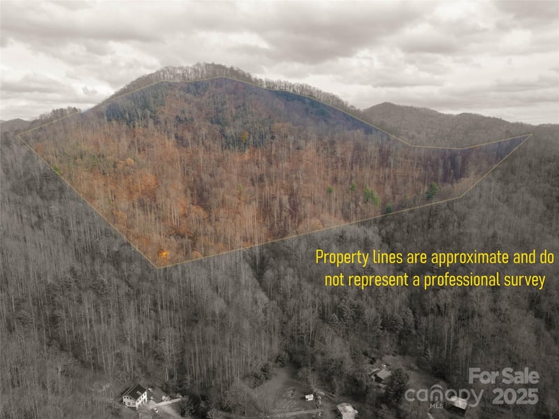 Grapevine Rd, Marshall, NC 28753
