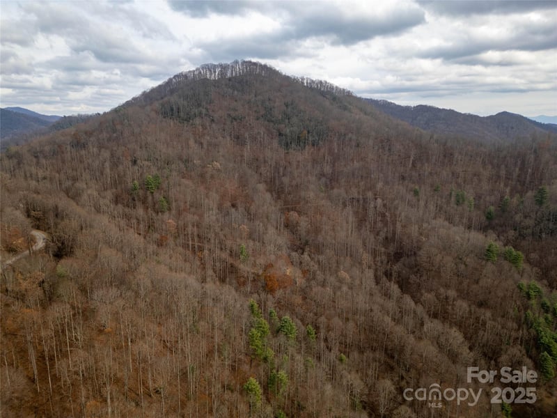 Grapevine Rd, Marshall, NC 28753