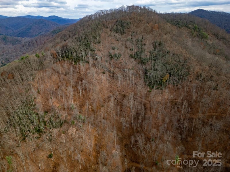 Grapevine Rd, Marshall, NC 28753