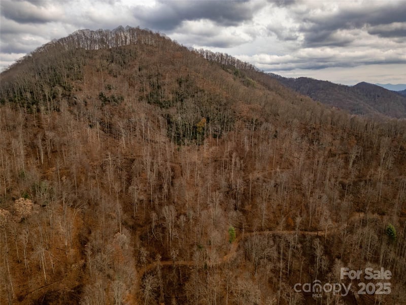 Grapevine Rd, Marshall, NC 28753