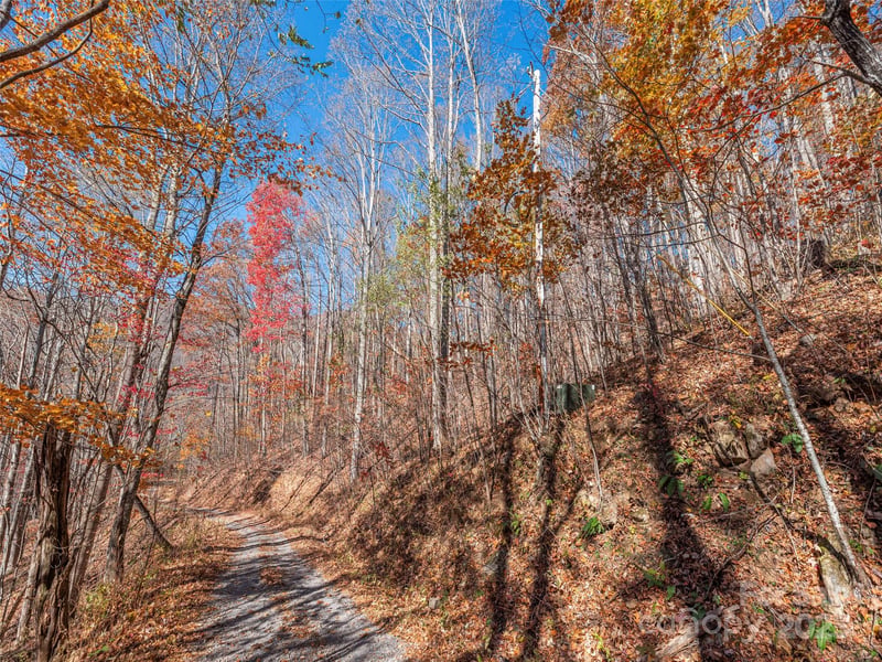 112 - 113 Grouse Rd, Clyde, NC 28721