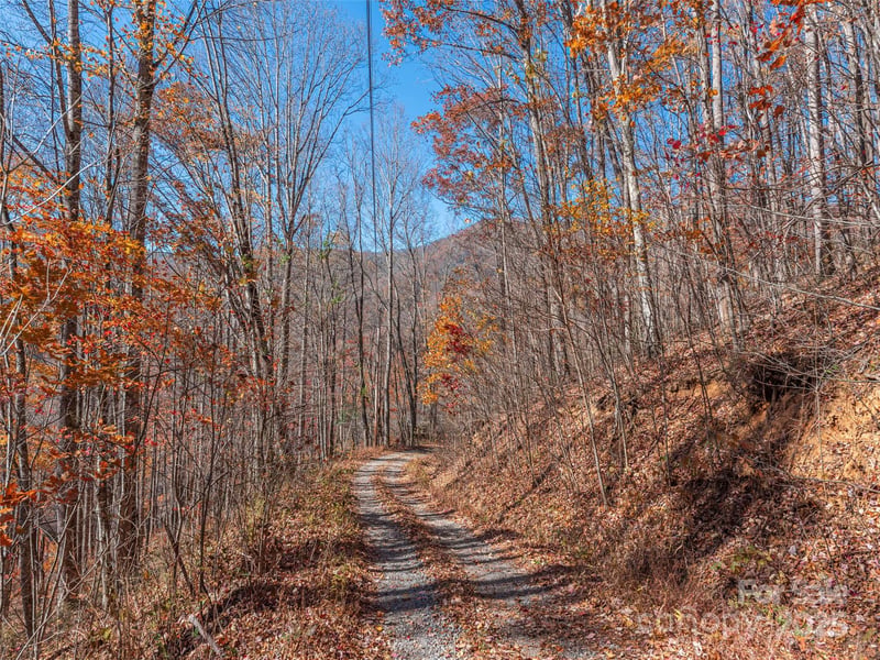 112 - 113 Grouse Rd, Clyde, NC 28721