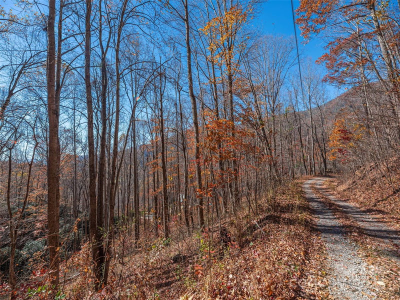 112 - 113 Grouse Rd, Clyde, NC 28721