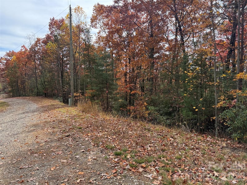 TBD Casey Mountain Rd #209, Purlear, NC 28665