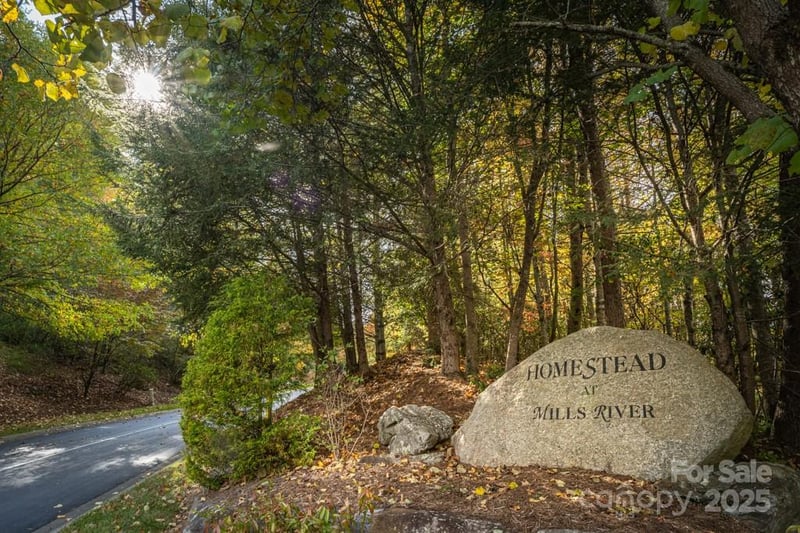 99999 Shining Rock Pa, Horse Shoe, NC 28742
