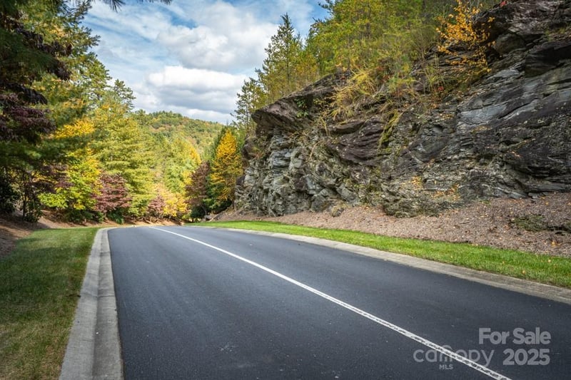 99999 Shining Rock Pa, Horse Shoe, NC 28742