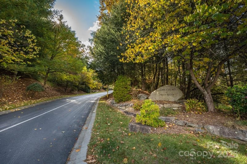 99999 Shining Rock Pa, Horse Shoe, NC 28742