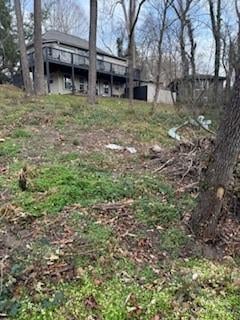 174 Kenilworth Rd, Asheville, NC 28803