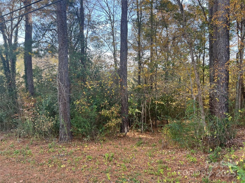 Alexander St, Dallas, NC 28034