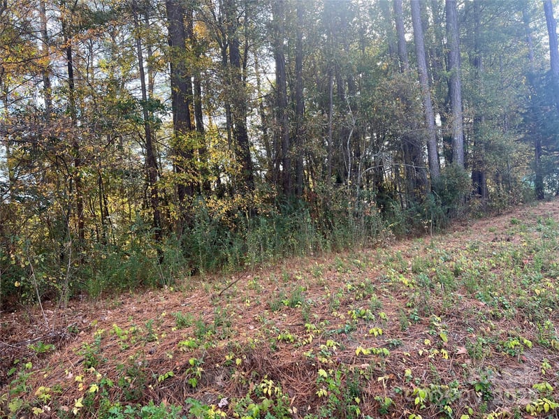 Alexander St, Dallas, NC 28034