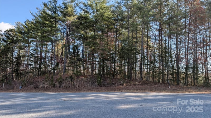 1111 Table View Dr, Morganton, NC 28655