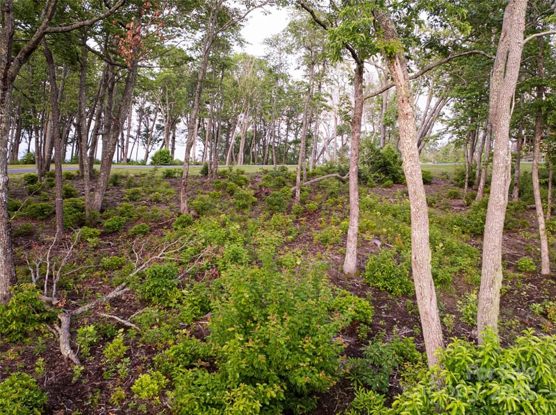 591 Garden Ln, Hendersonville, NC 28792