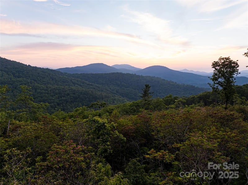 591 Garden Ln, Hendersonville, NC 28792