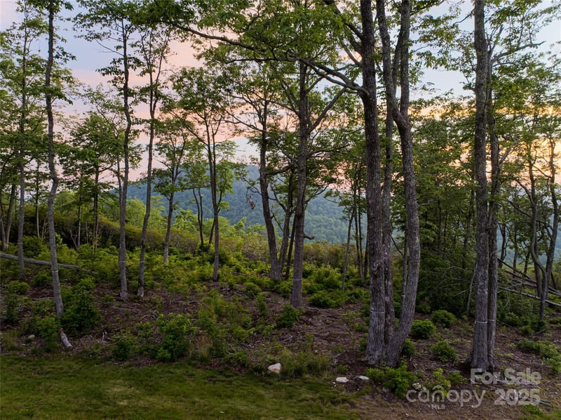 591 Garden Ln, Hendersonville, NC 28792