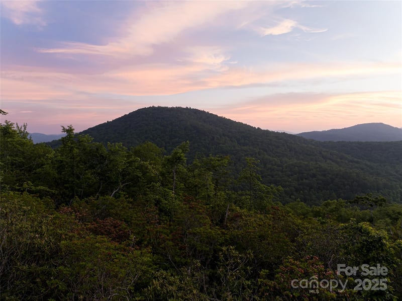 591 Garden Ln, Hendersonville, NC 28792