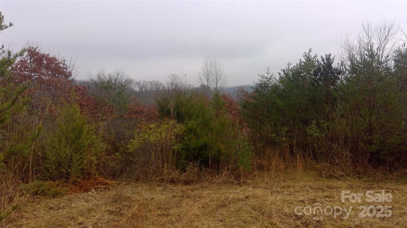 Oak Hill School Rd, Lenoir, NC 28645
